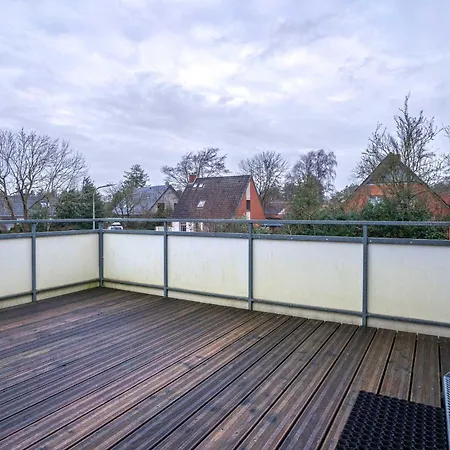 Stranddistel Bohl