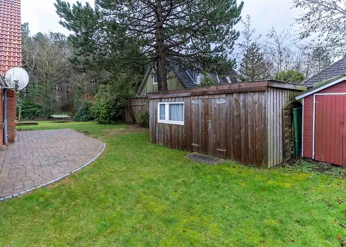 Stranddistel Sankt Peter-Ording